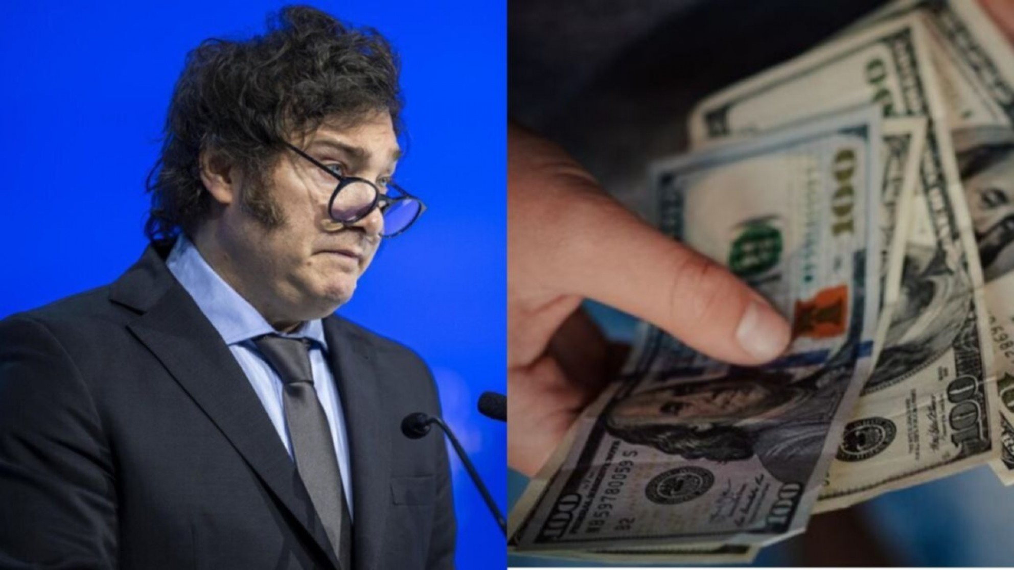 Milei le restó importancia a la disparada del dólar y dijo que hay "cero pánico"